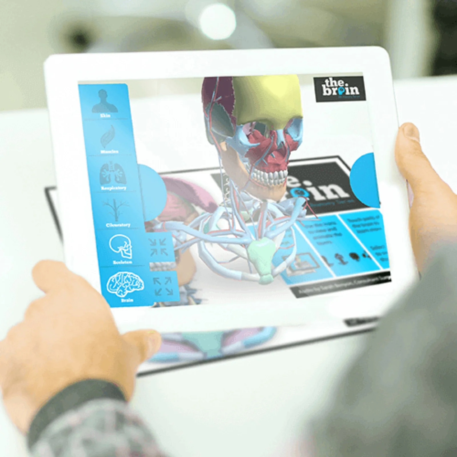 The Brain in 3D HoloLens experience